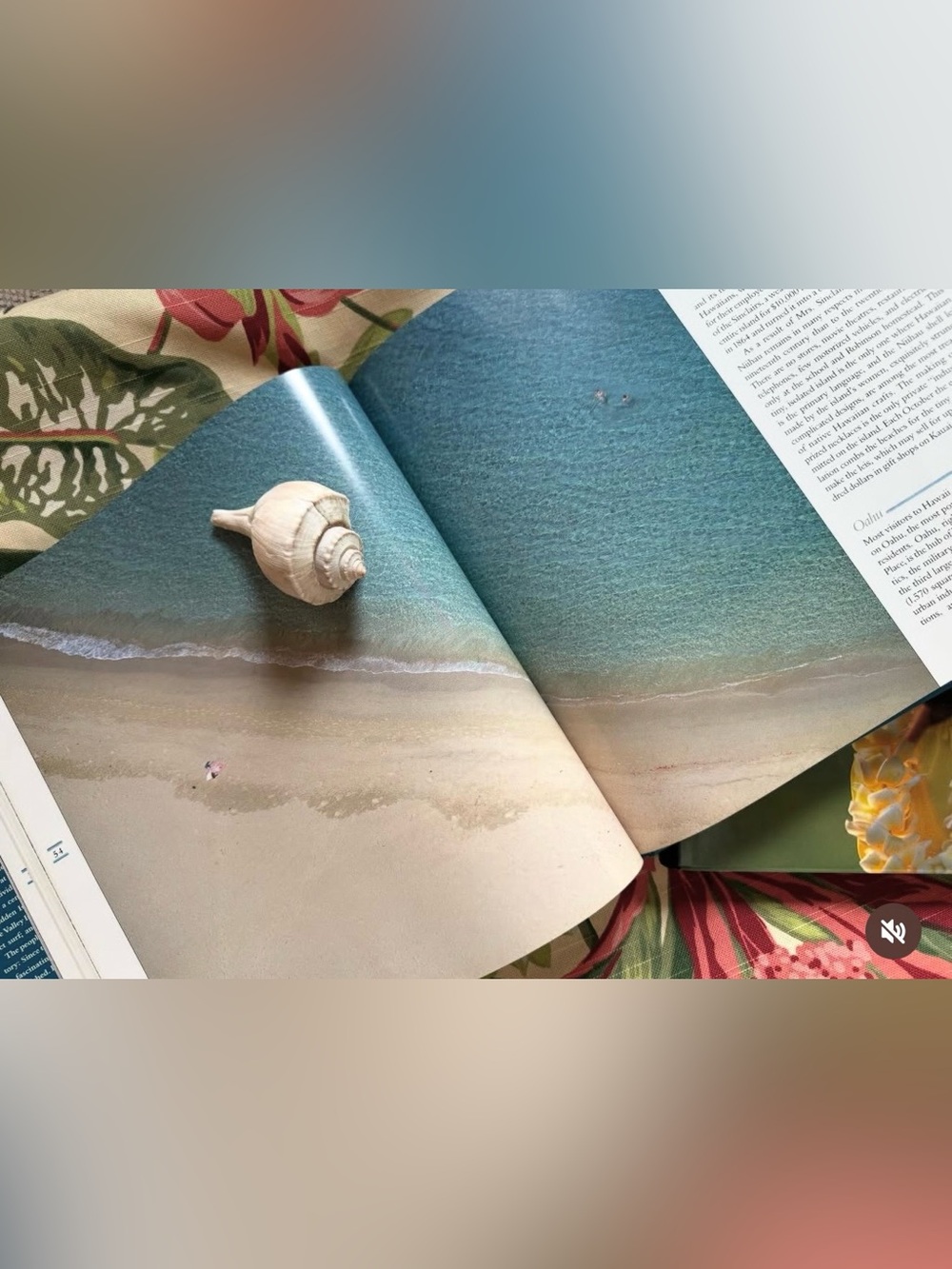 Set of 3 Hawaii coffee table books
